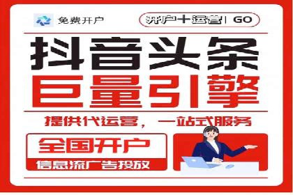 某电商平台信息流广告的精准推广策略